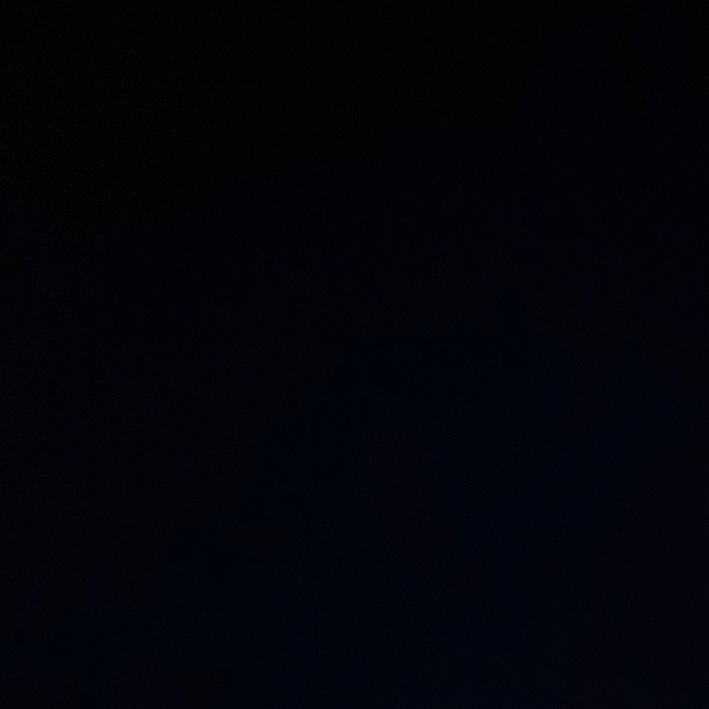 IGNORE